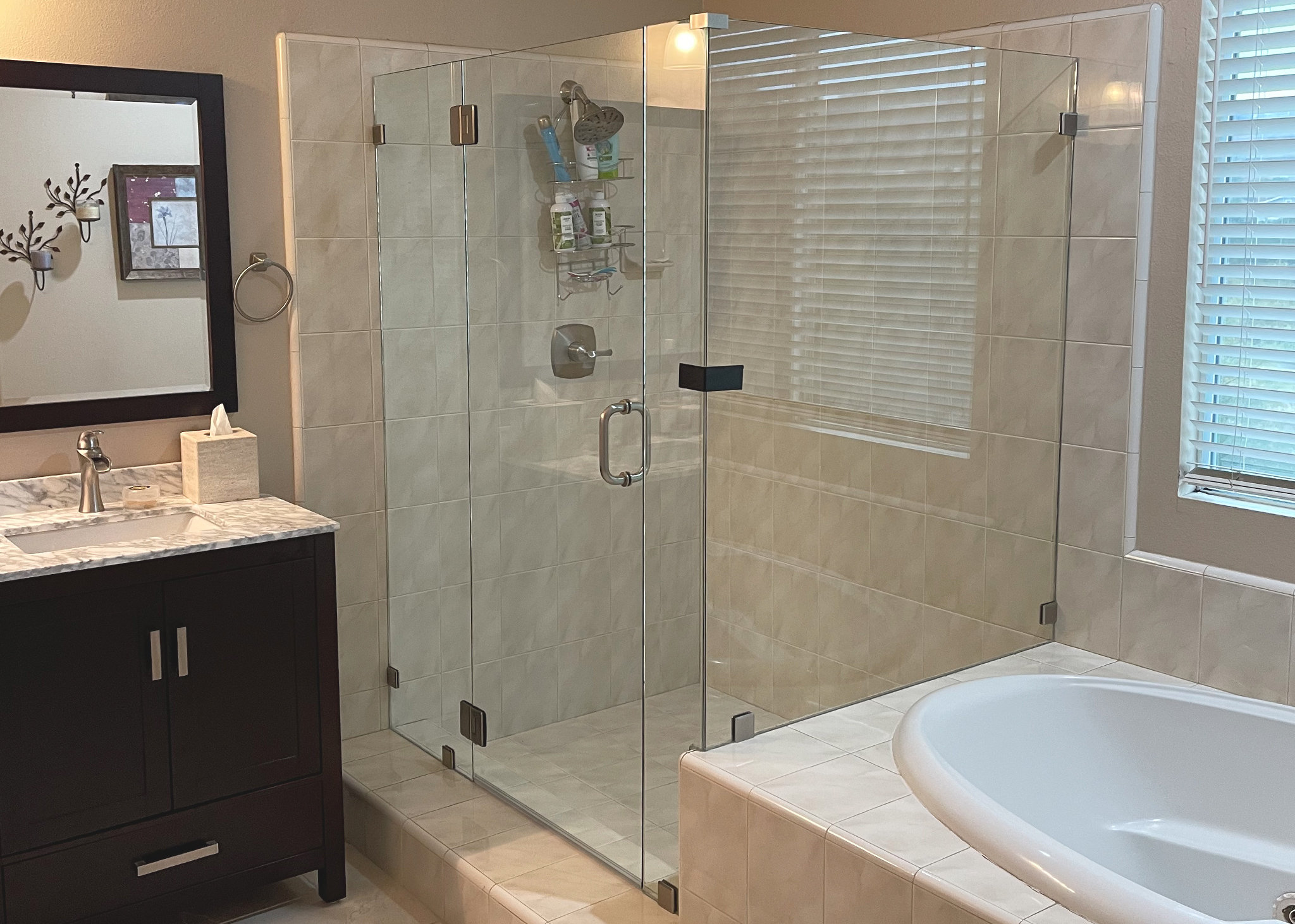 Glass Shower Door Enclousure